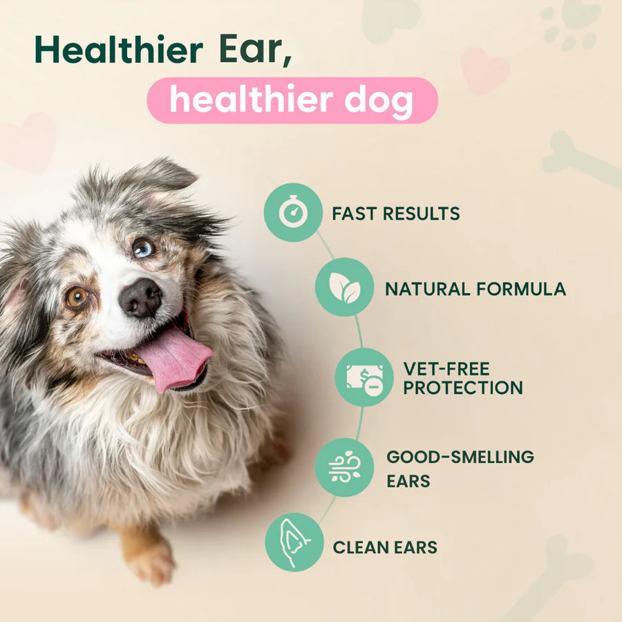 WaxOff® - EarClear