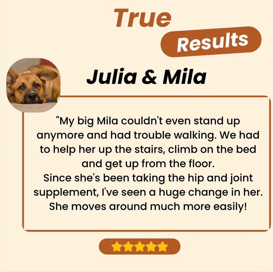 Joint Care