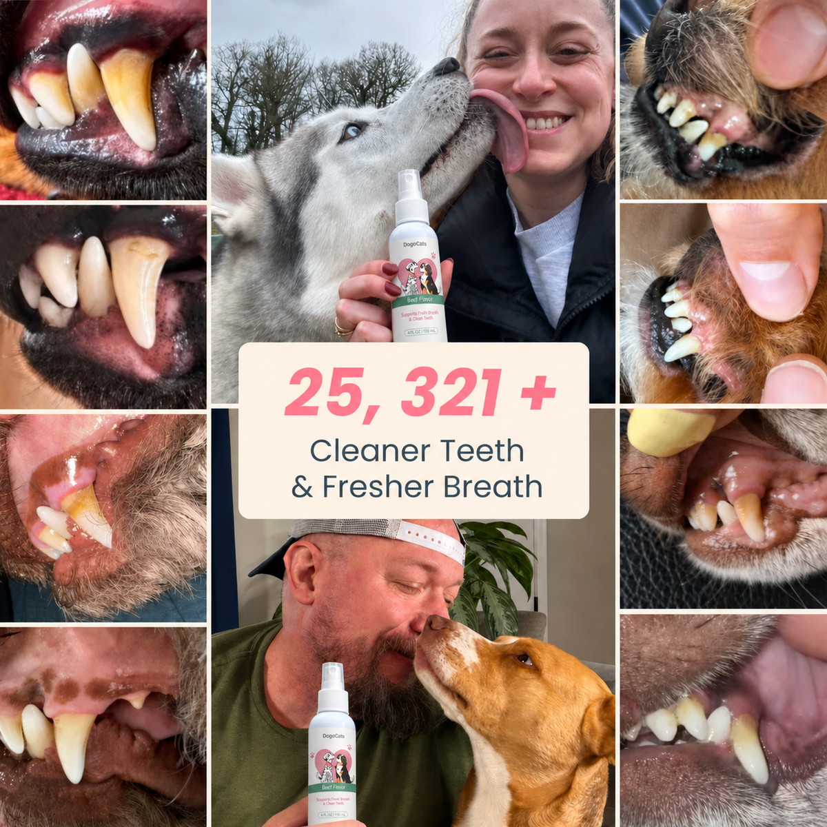 DENTACLEAN® - Dogs/Cats