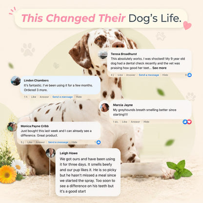 DENTACLEAN® - Dogs/Cats